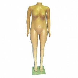 Brazilian Plus-Size Female Form